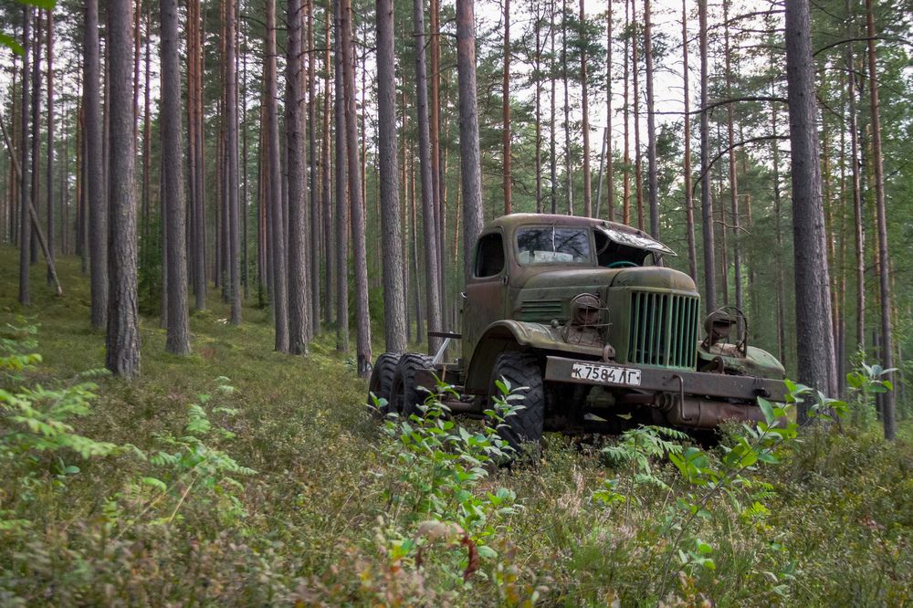Photograph by Юлия Алексейчикова