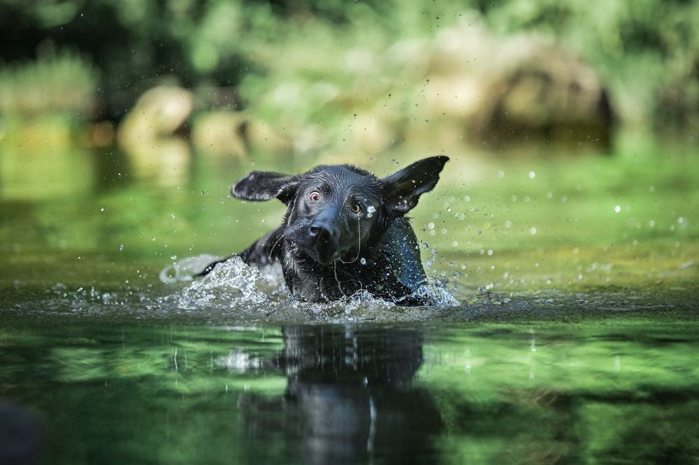 Photograph by Lu Wenyi