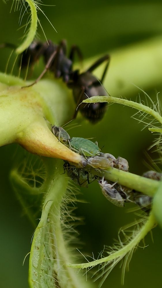 Photograph by Игорь Тюменцев