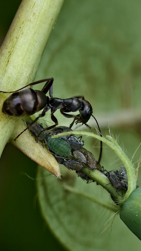 Photograph by Игорь Тюменцев