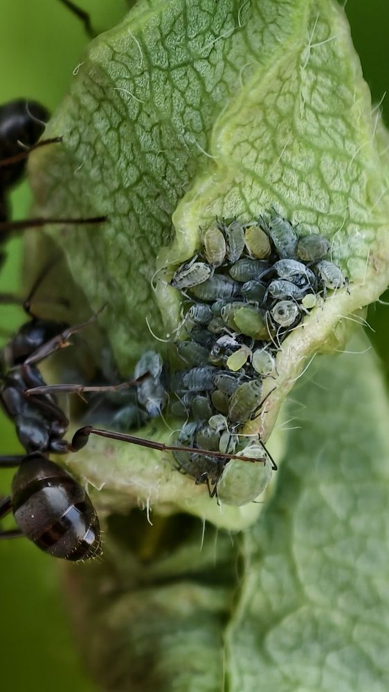 Photograph by Игорь Тюменцев