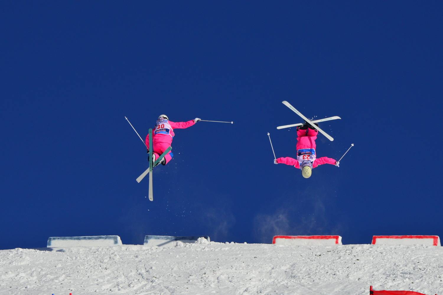 Photo #12258601