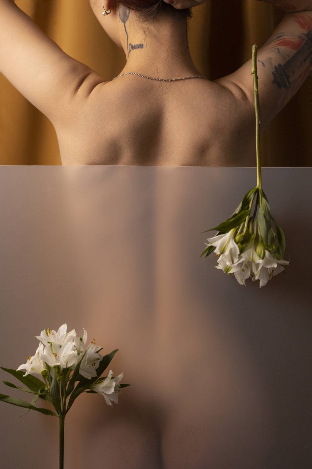 Photo #12258671