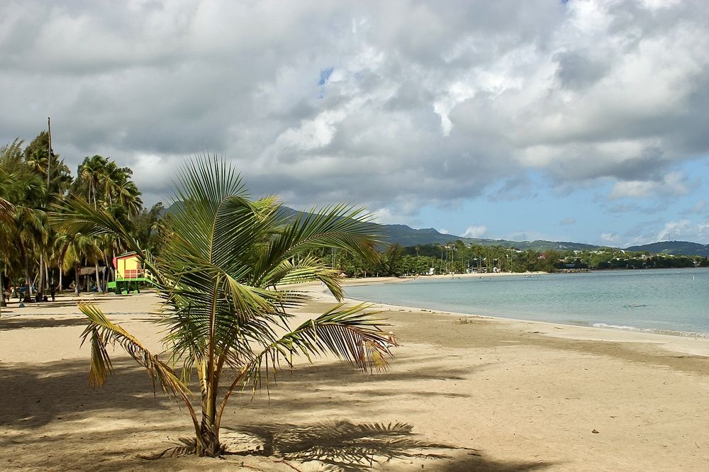 Фотография автора Jose Otero