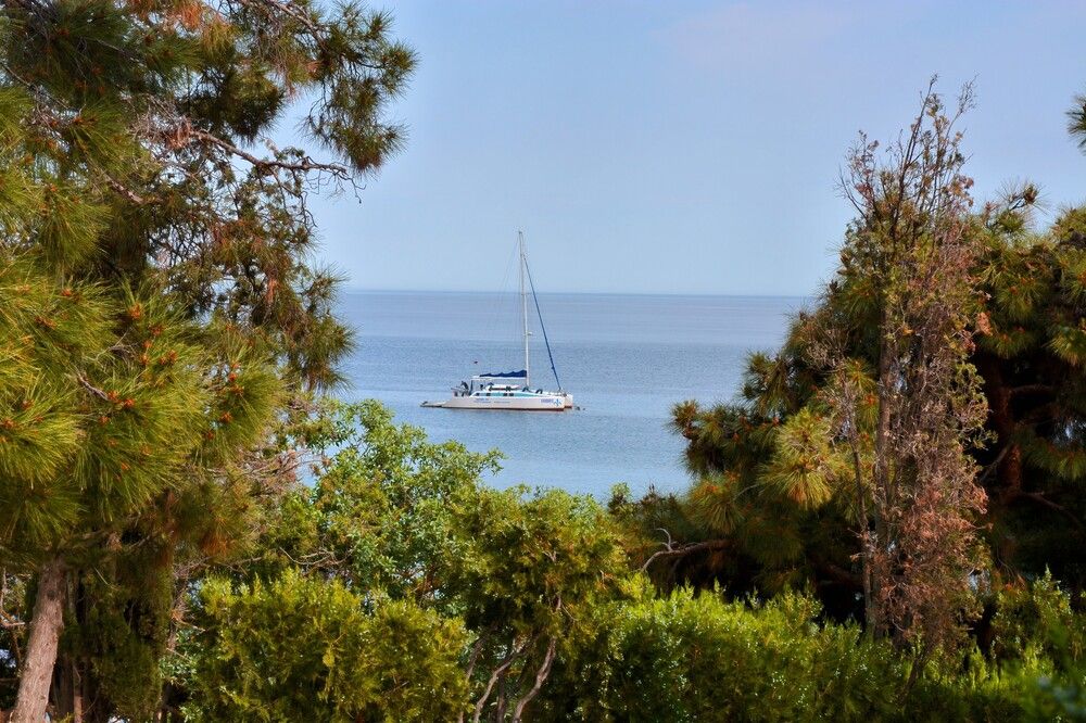 Photograph by Алексей Ильин