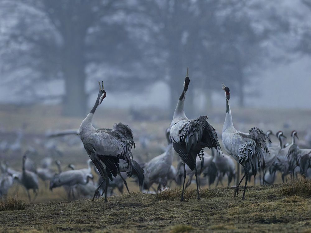 Photograph by Jørgen Hovde