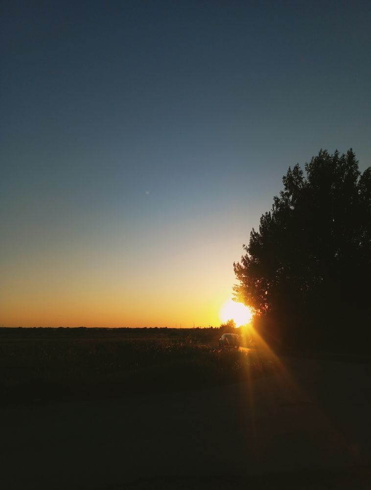 Photograph by Елена Фурашова