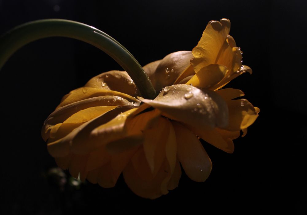 Photograph by Кирилл