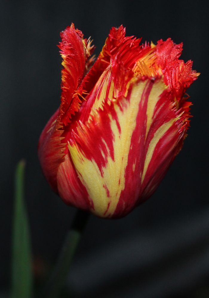 Photograph by Кирилл