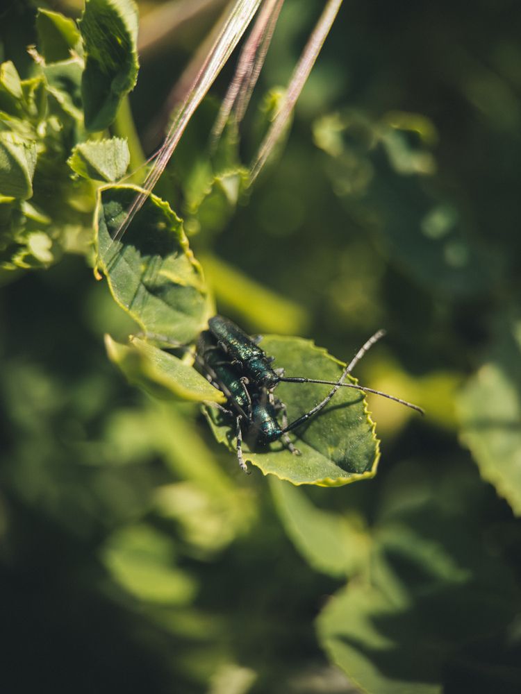 Photograph by Анна Голубцова