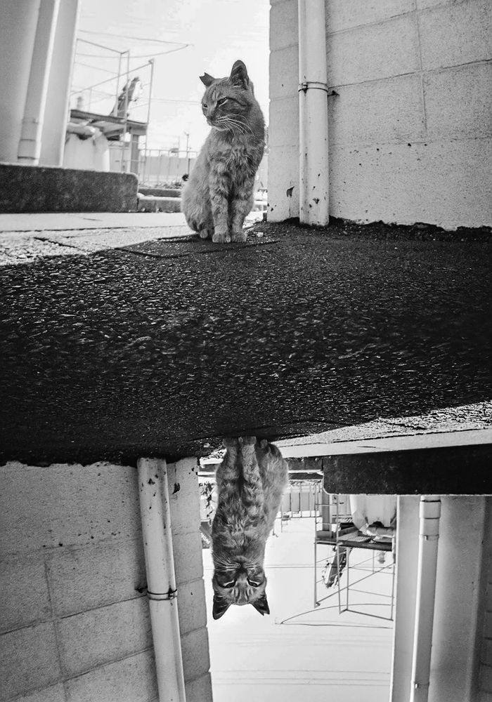 Photograph by mak takano