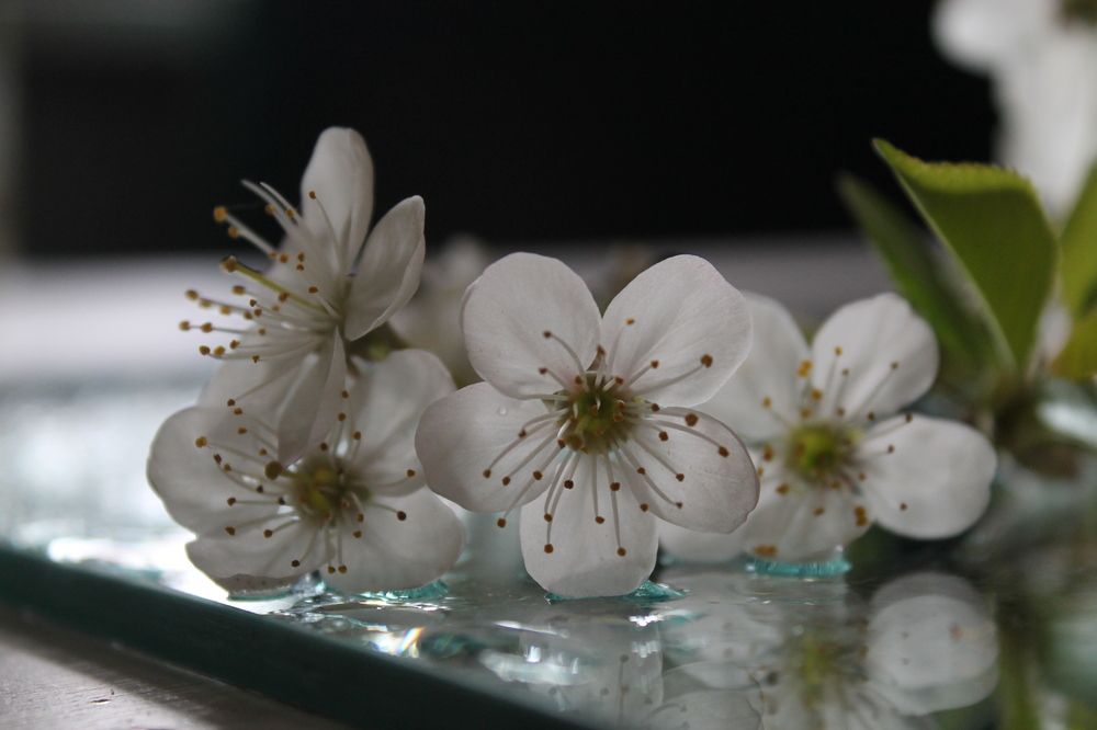 Photograph by Кирилл