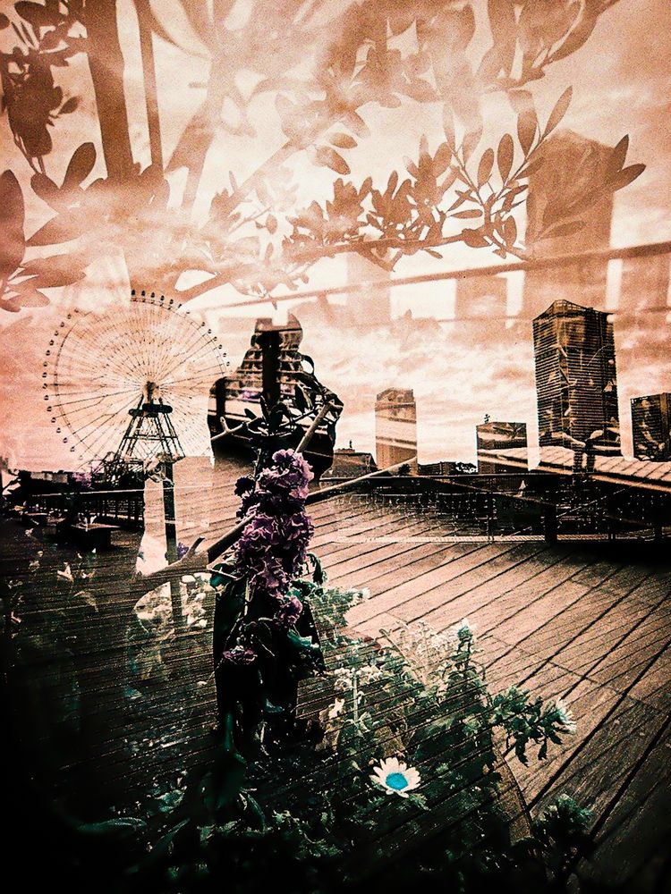 Photograph by mak takano