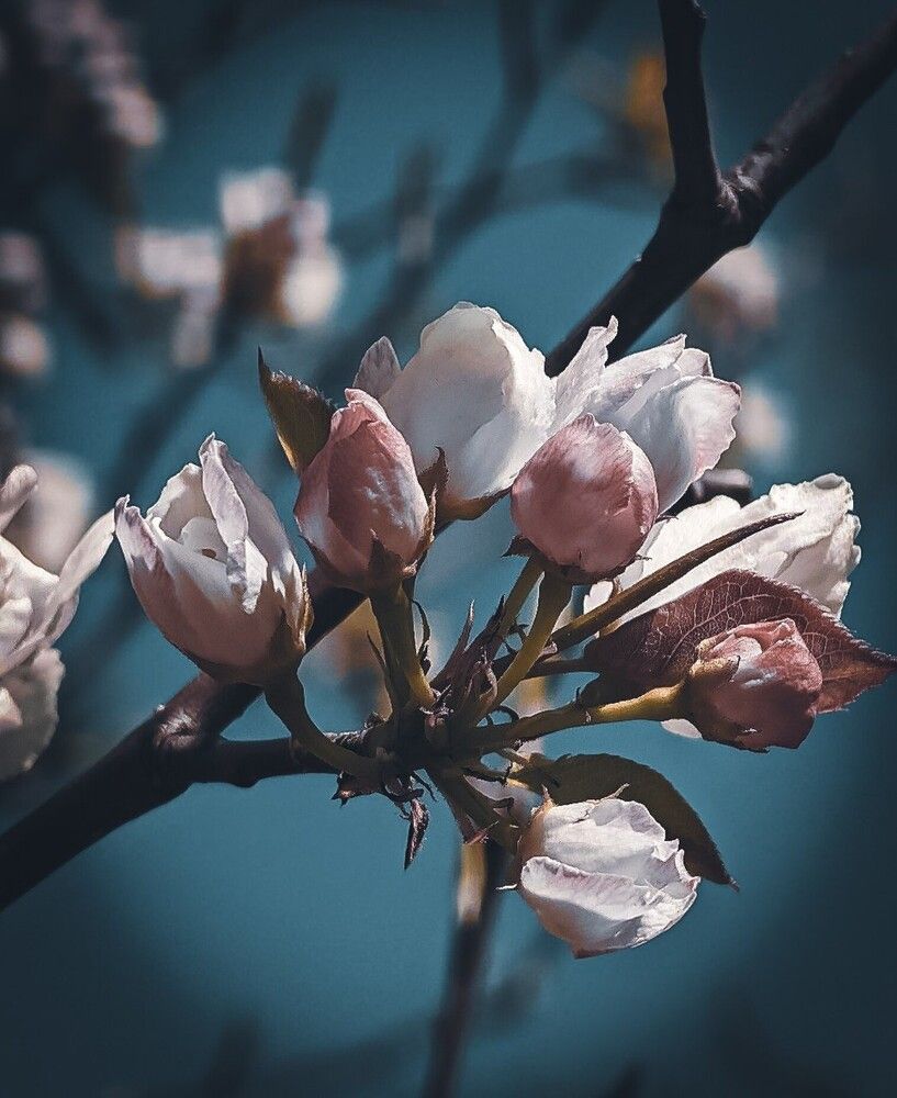 Photograph by serj