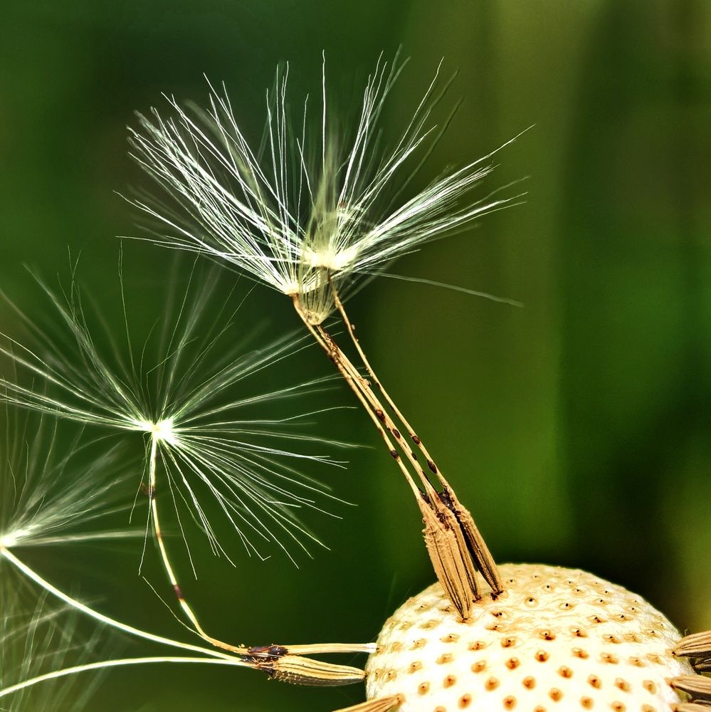 Photograph by Юрий Полушин