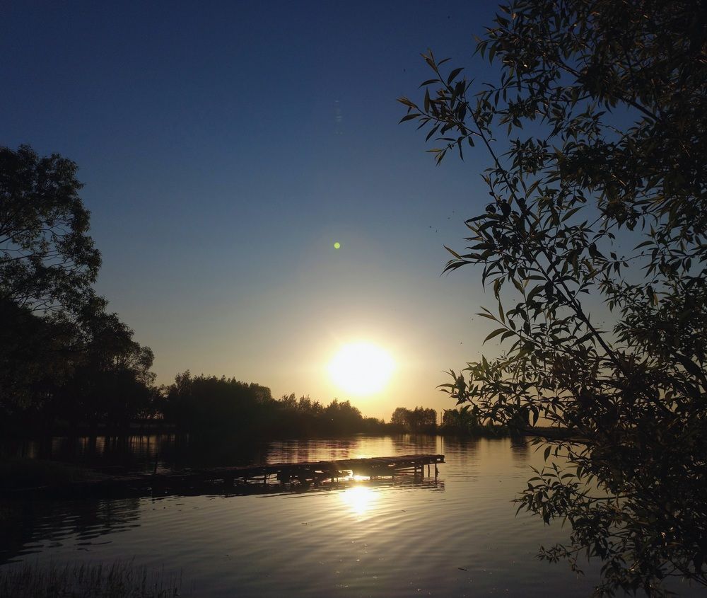 Photograph by Елена Фурашова