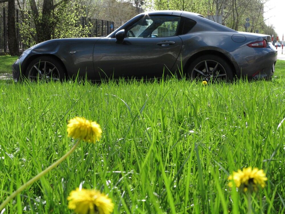 Фотография автора Евгений