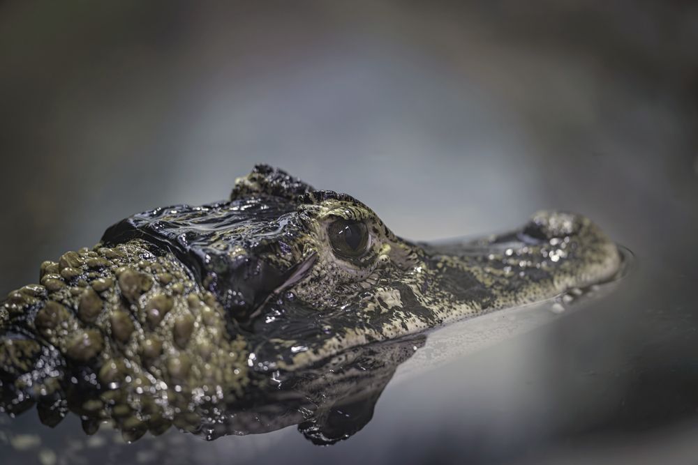 Photograph by Сергей Басов