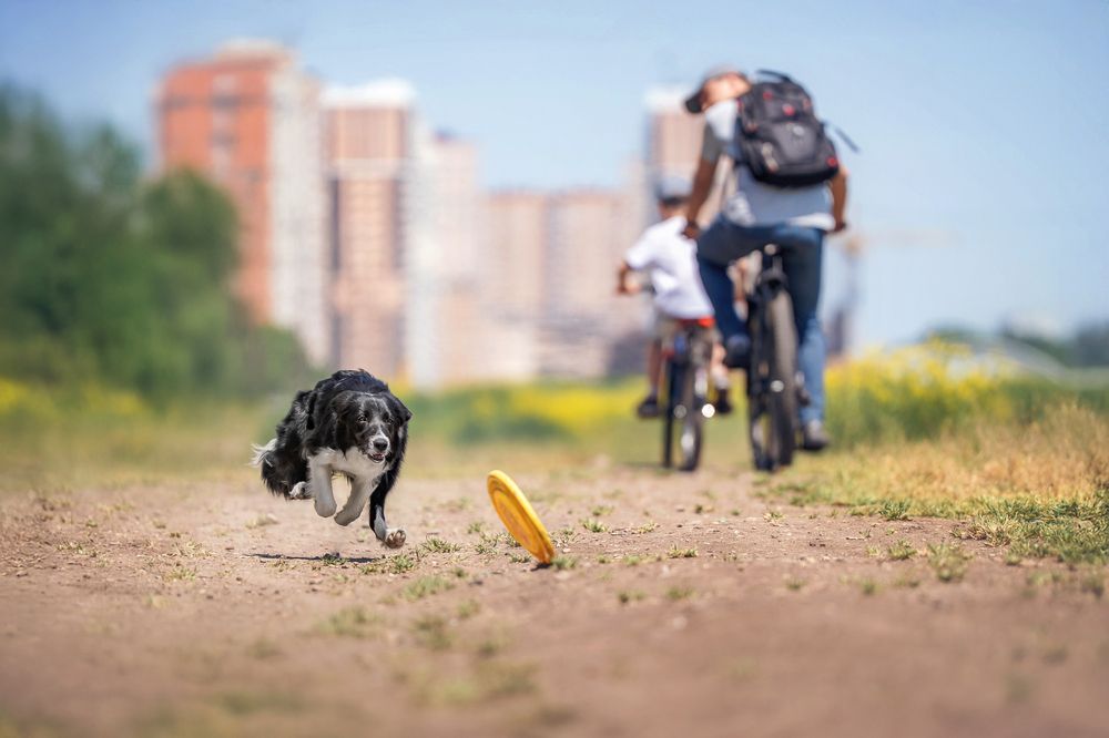 Photograph by Наталья Орел