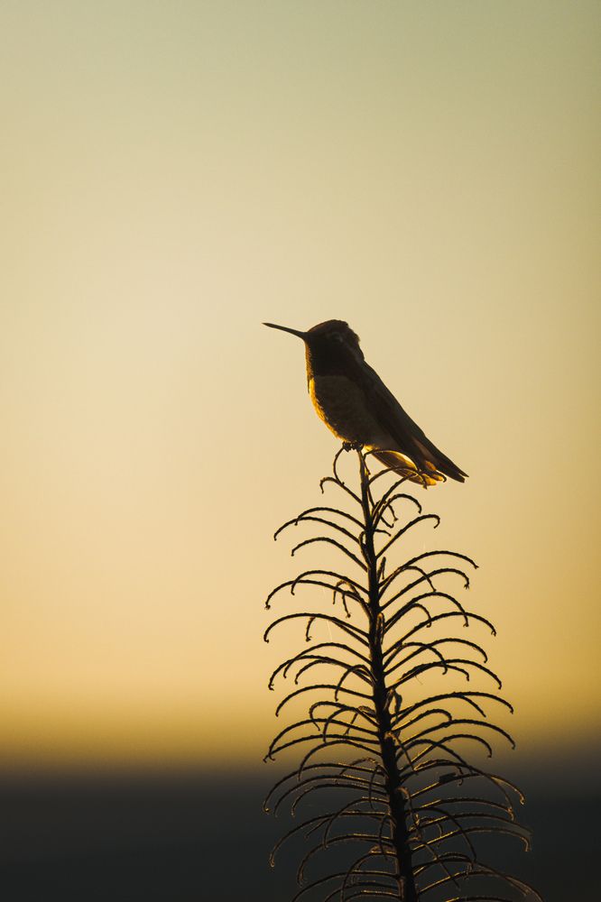 Photograph by Anna Cherkasova