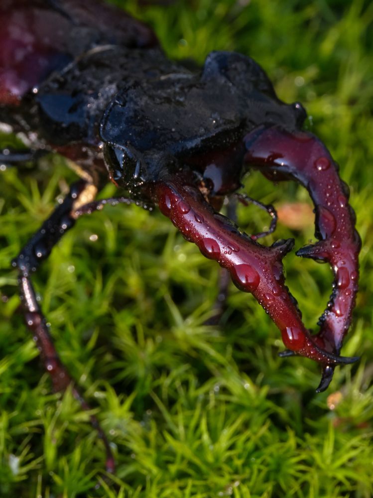 Photograph by Ирина Дегтярева