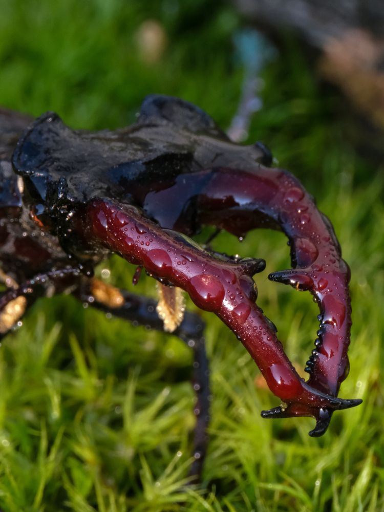 Photograph by Ирина Дегтярева