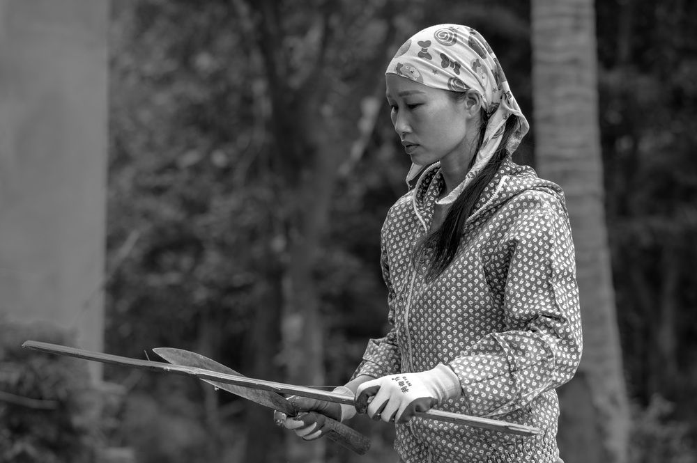 Photograph by esti lahat