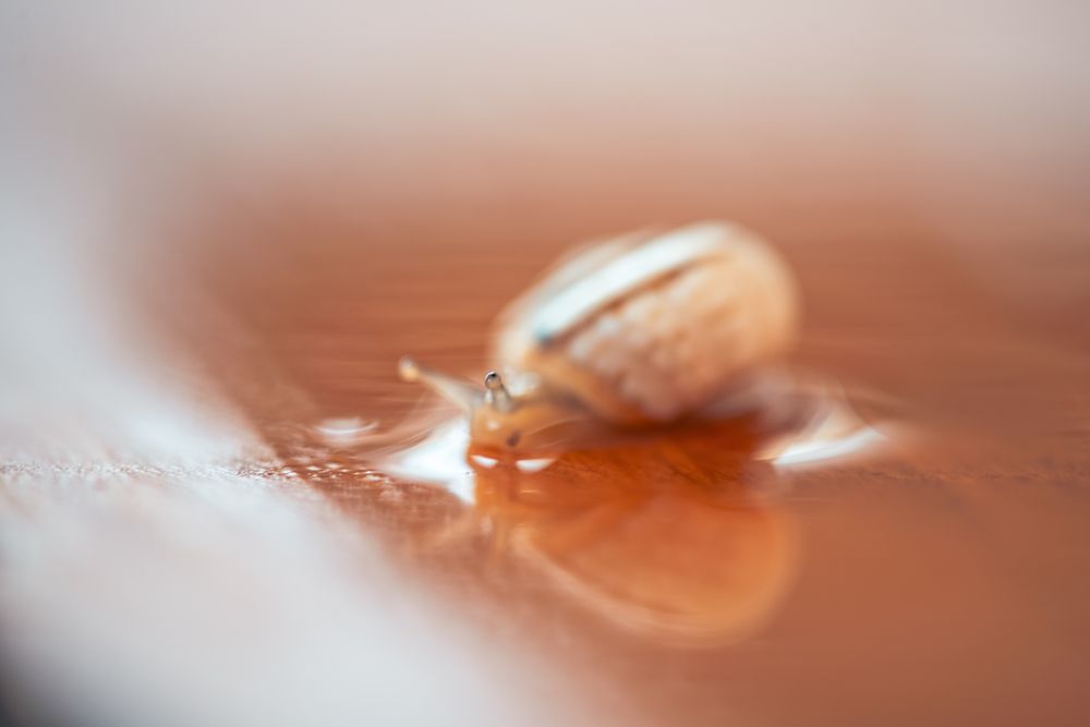 Photograph by  Мария