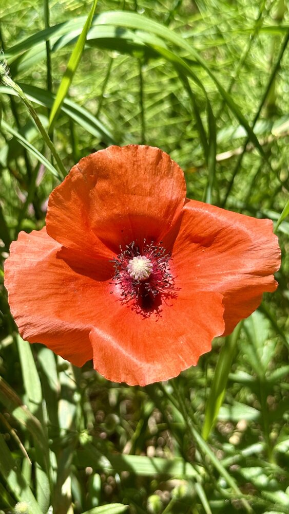 Photograph by Екатерина Спицина