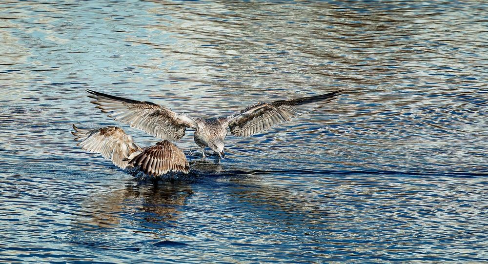 Photograph by Сергей Басов