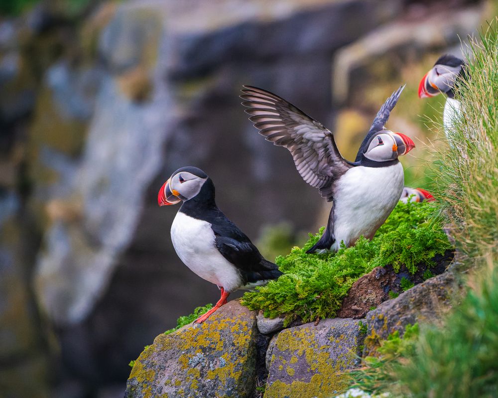 Фотография автора Piotr Mickevic