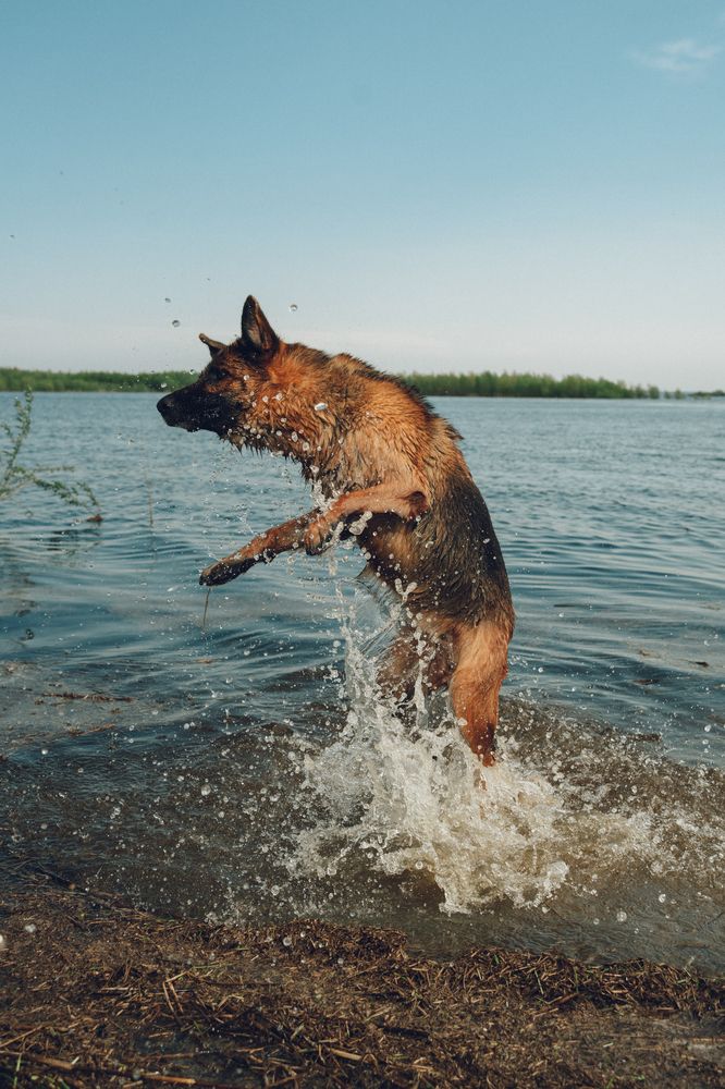 Фотография автора Мария Шишкина