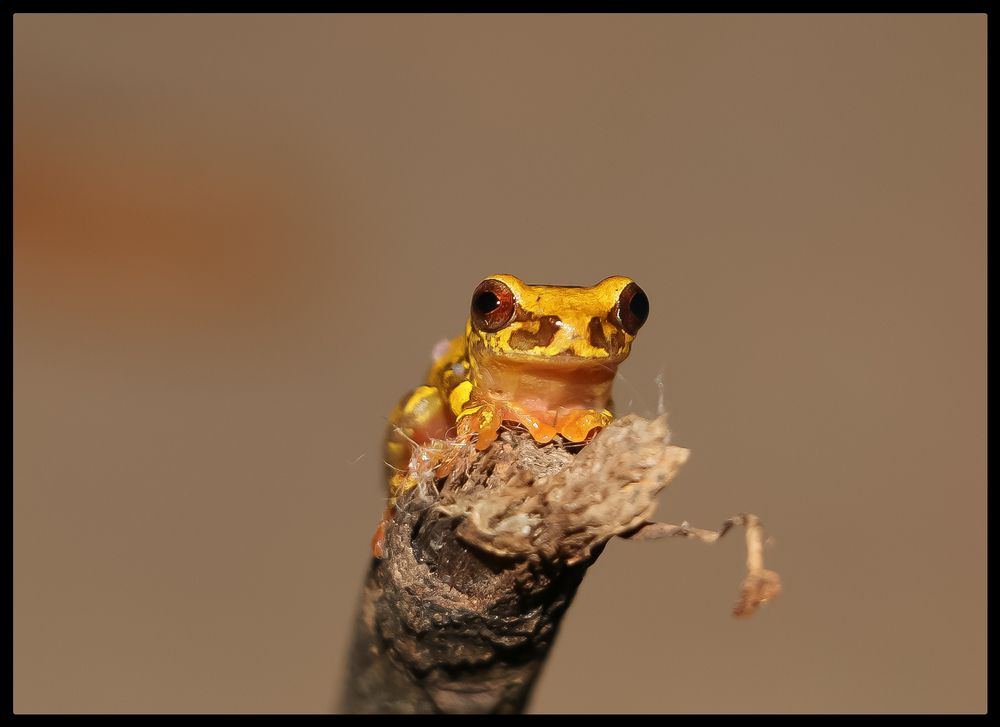 Photograph by Arlan Conceição da Costa