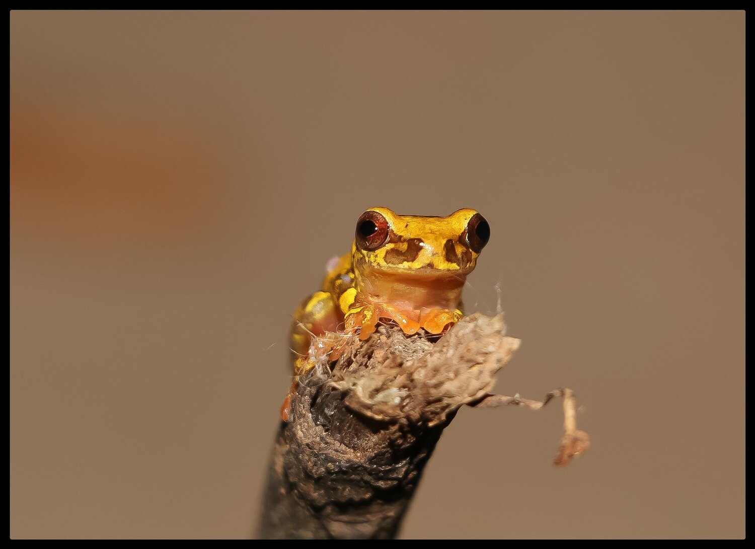 Photo #12259662