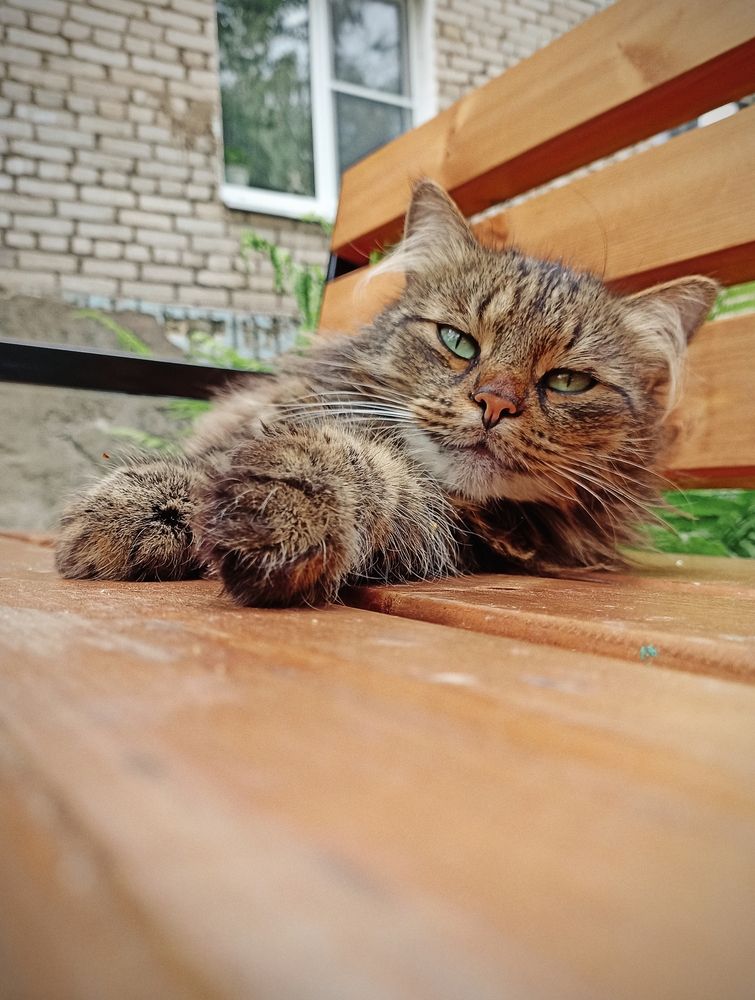 Гоша