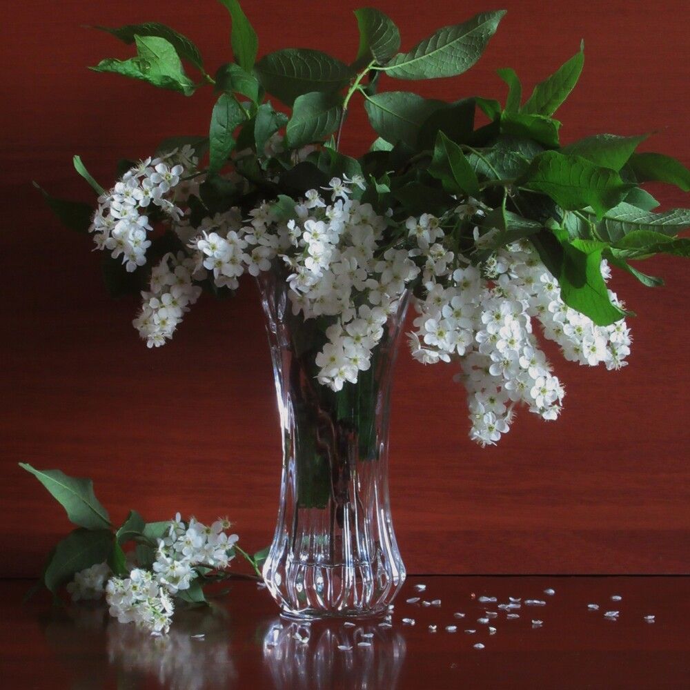 Photograph by Ольга Березовская