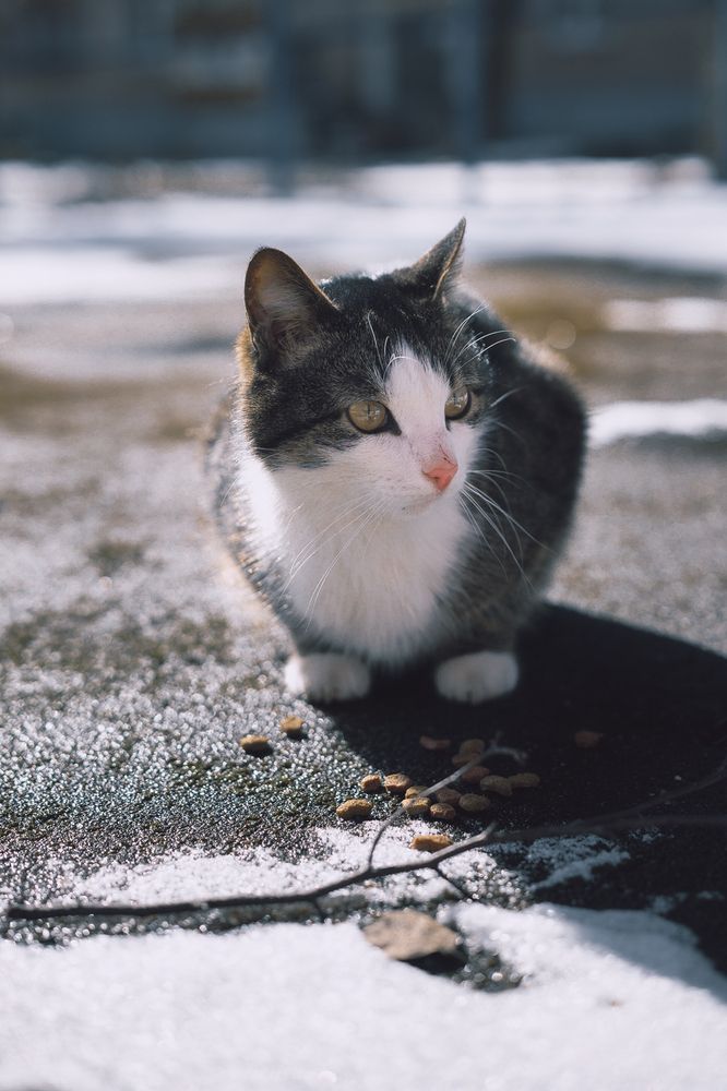 Photograph by Оксана Белякова