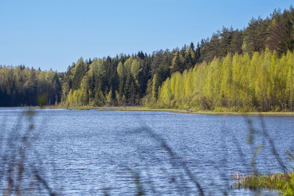 Photograph by Алина Руденко