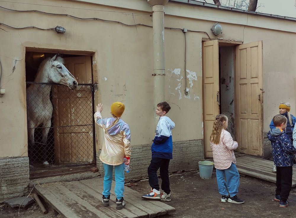 Photograph by Ирина Виноградова