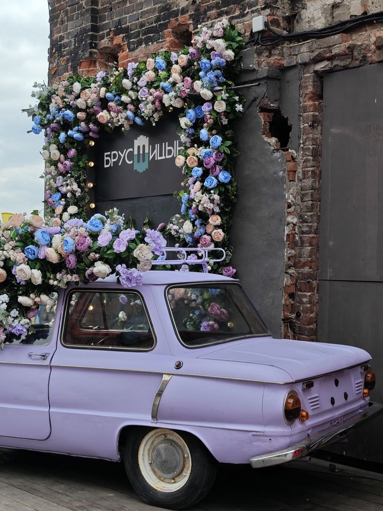 Фотография автора Наташа Данилова