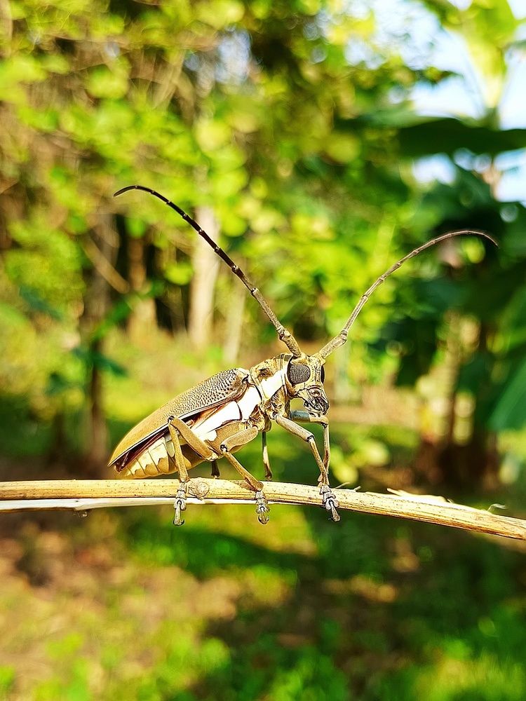 Photograph by Debroto Photography
