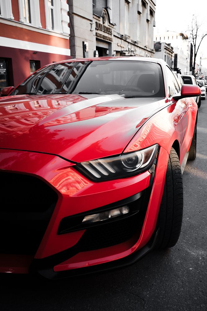 Photograph by Алексей Голубев