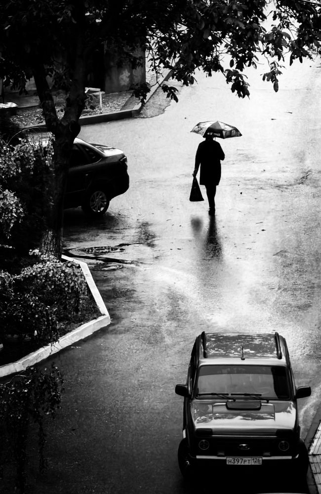 Photograph by Кривенко Владимир