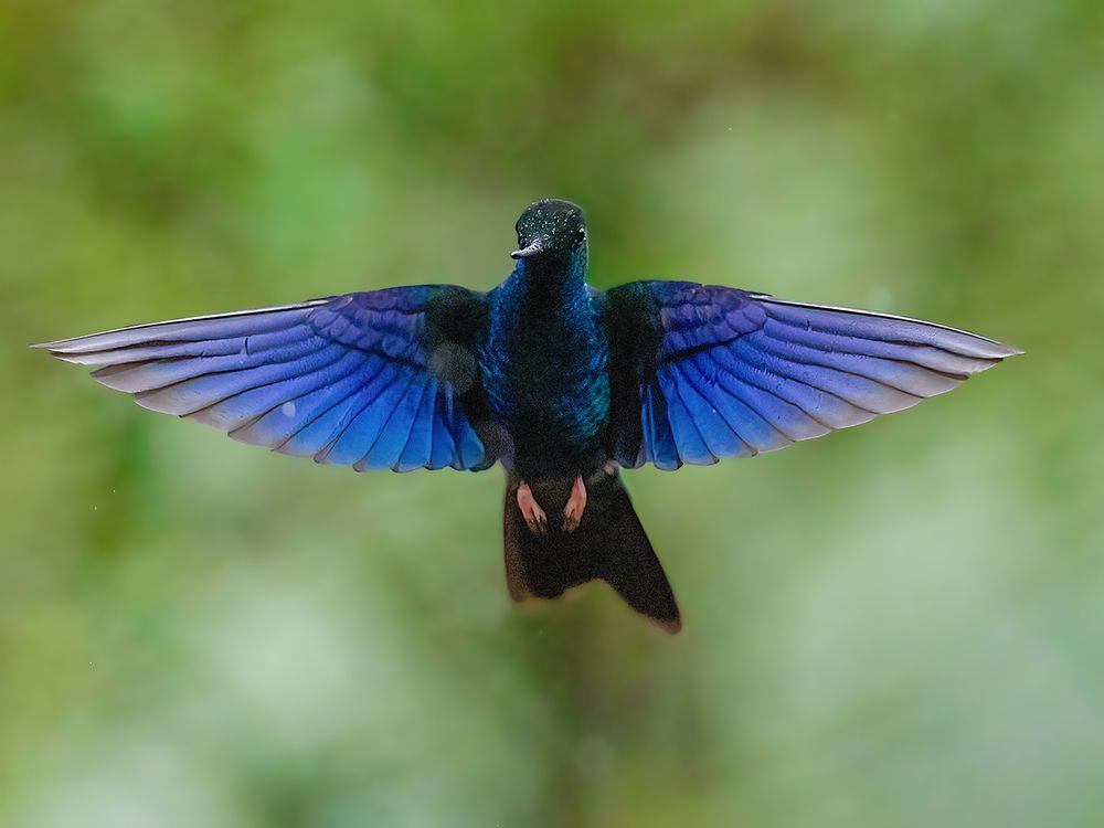 Photograph by Sreejith Sreedharan
