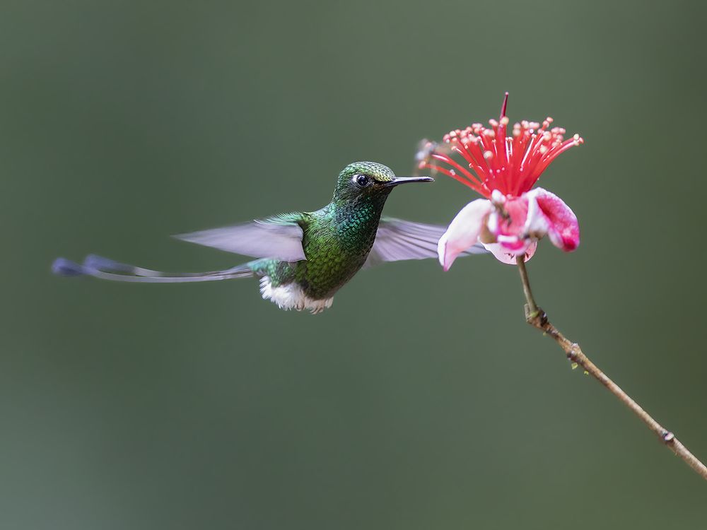 Photograph by Sreejith Sreedharan
