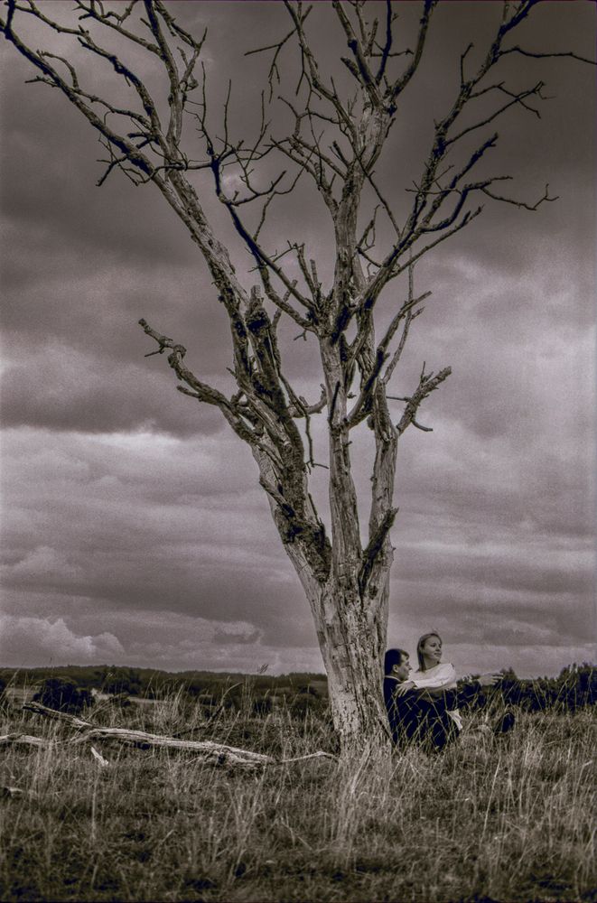 Свидание у старого дерева, 2002 год