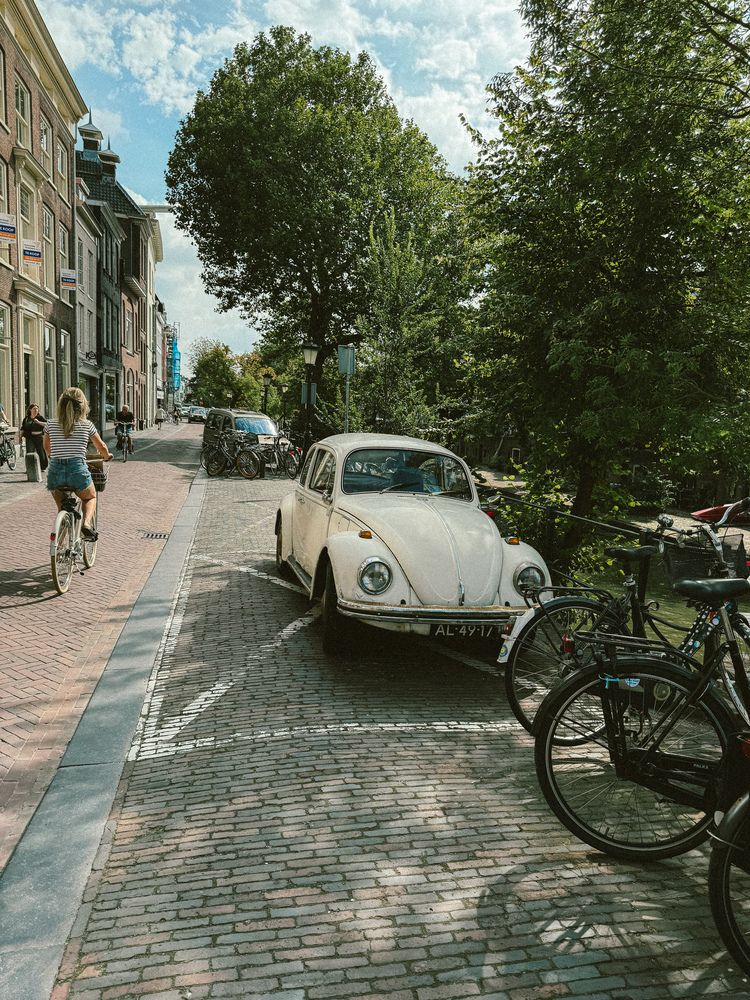 Photograph by Julia Smilovitsky