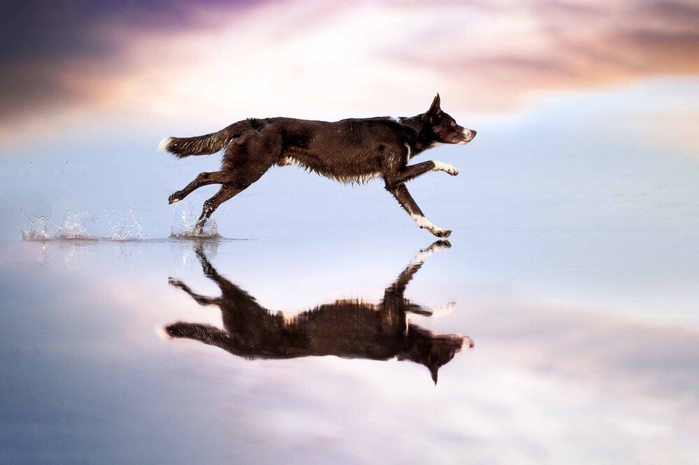 Photograph by Csenge