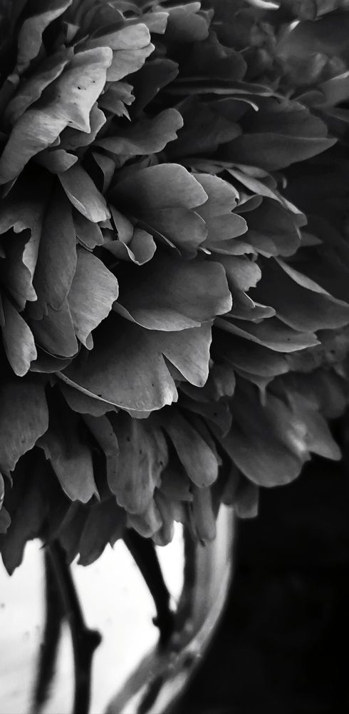 Photograph by Ольга Смолина