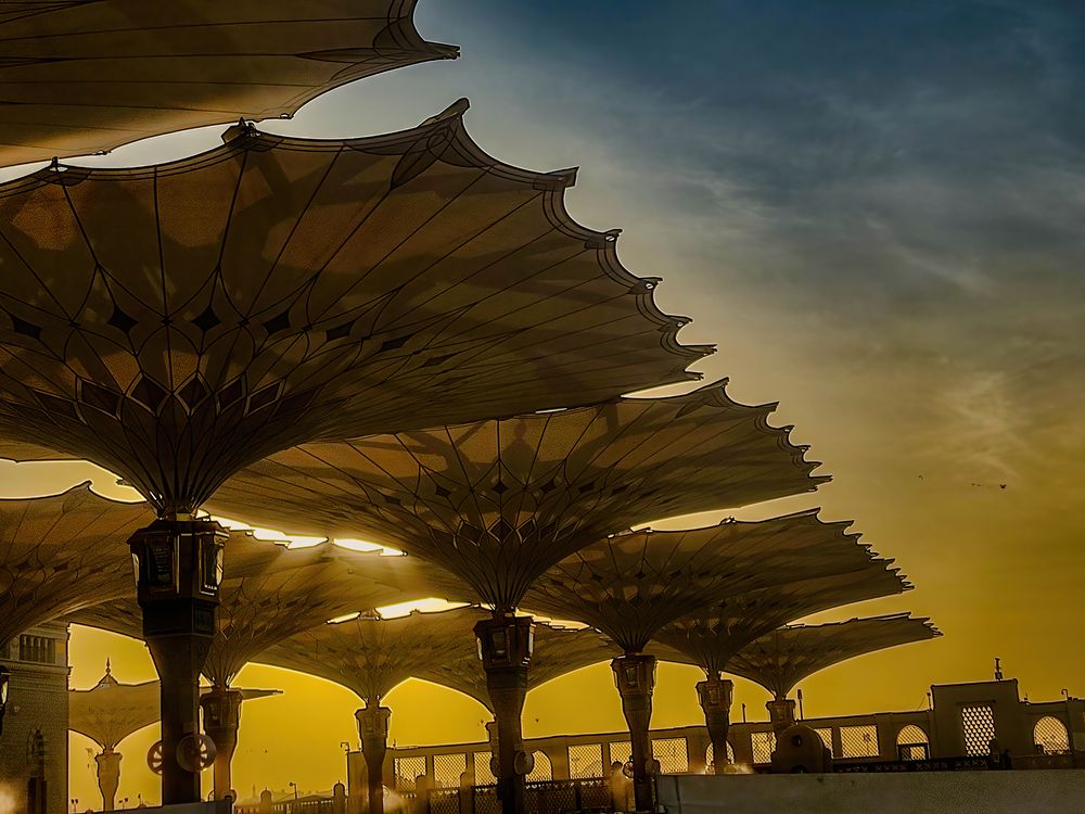 Photograph by Zinda Shaik Mohideen M